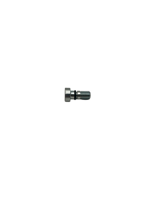 HS Screw M10X23 CPL